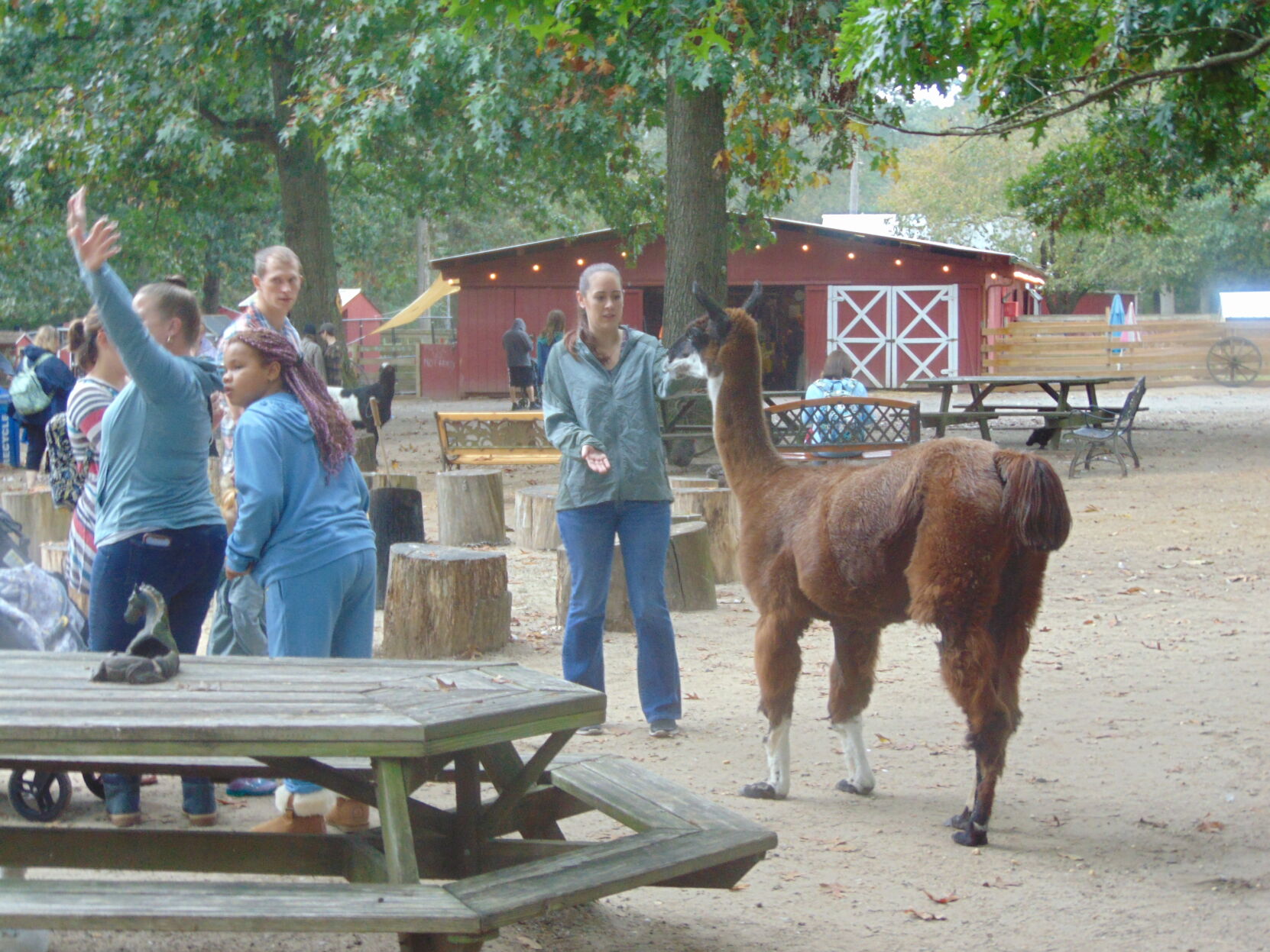 Farm gallery 25.JPG